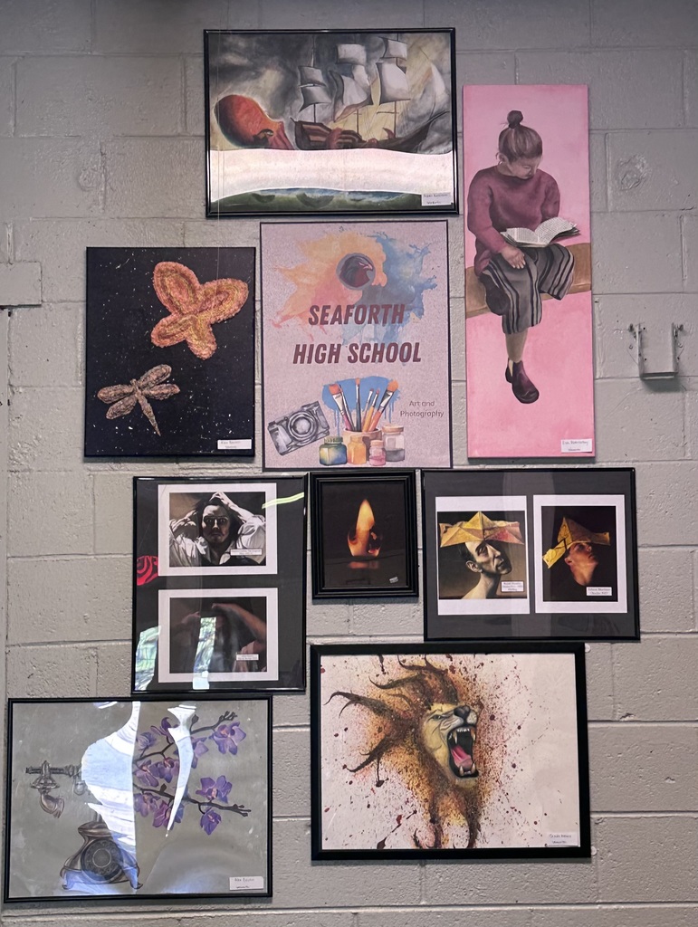 Chatham County Fair Art