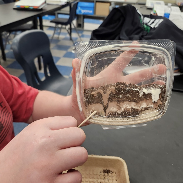 eighth grade science