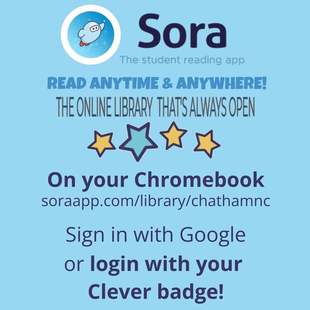 Sora App