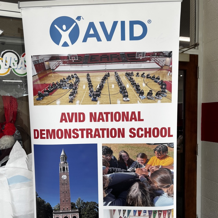 avid demo