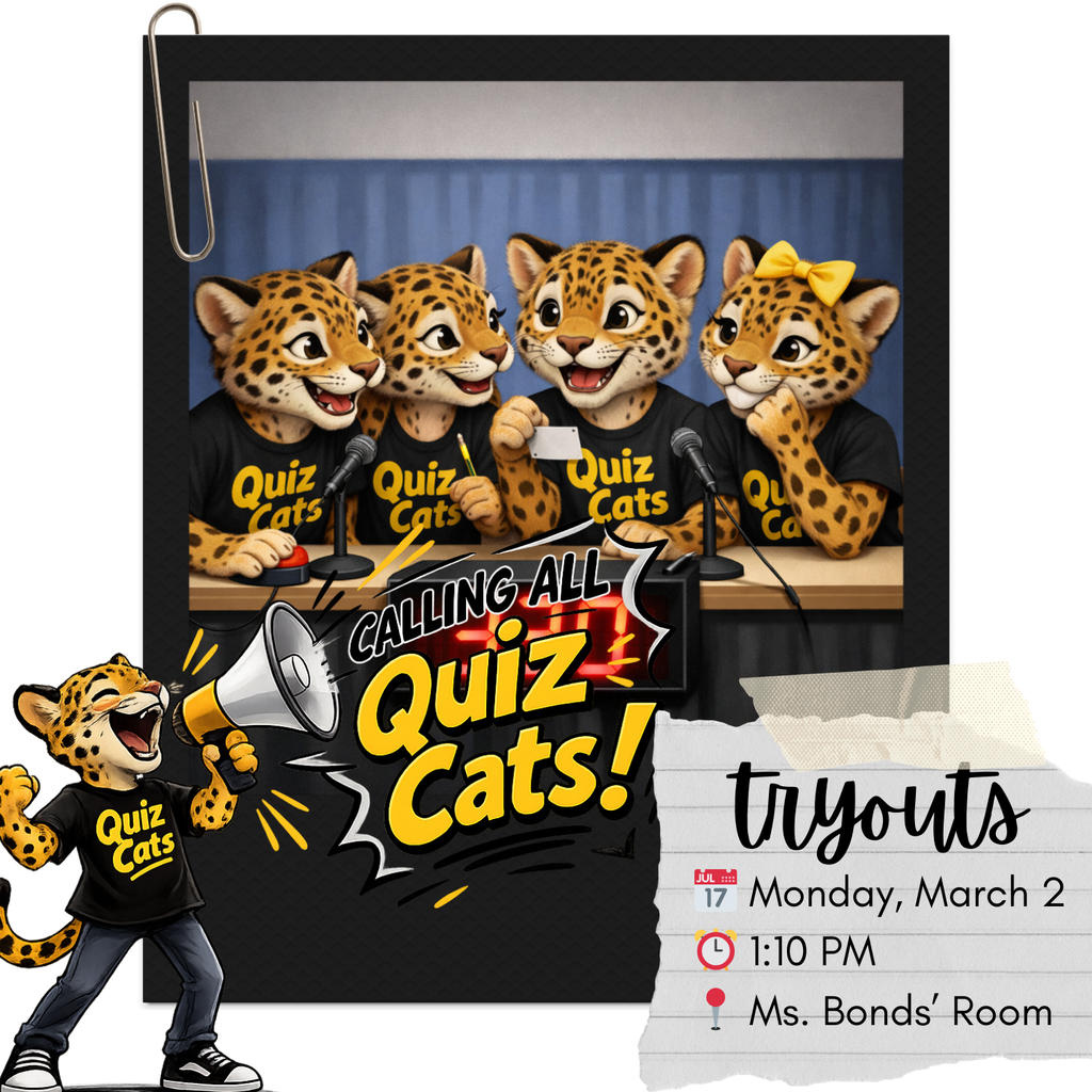 quiz cats