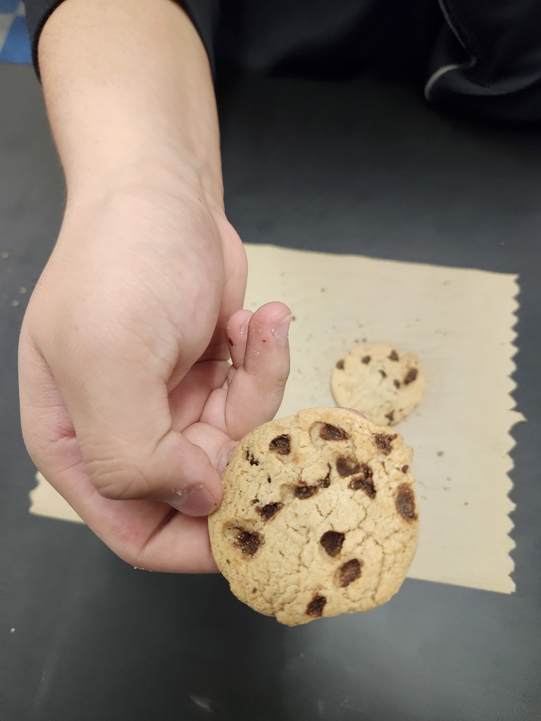 8th grade Science lesson