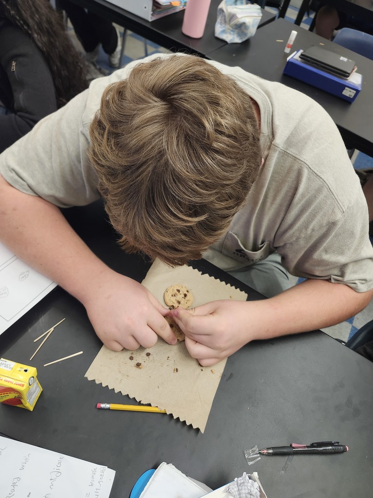 8th grade Science lesson