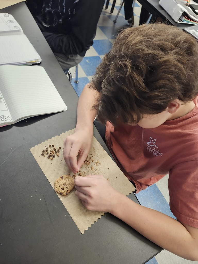 8th grade Science lesson