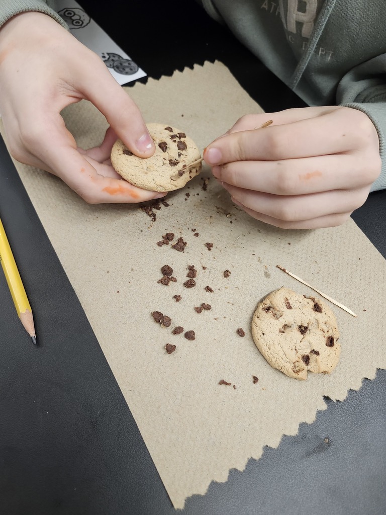 8th grade Science lesson