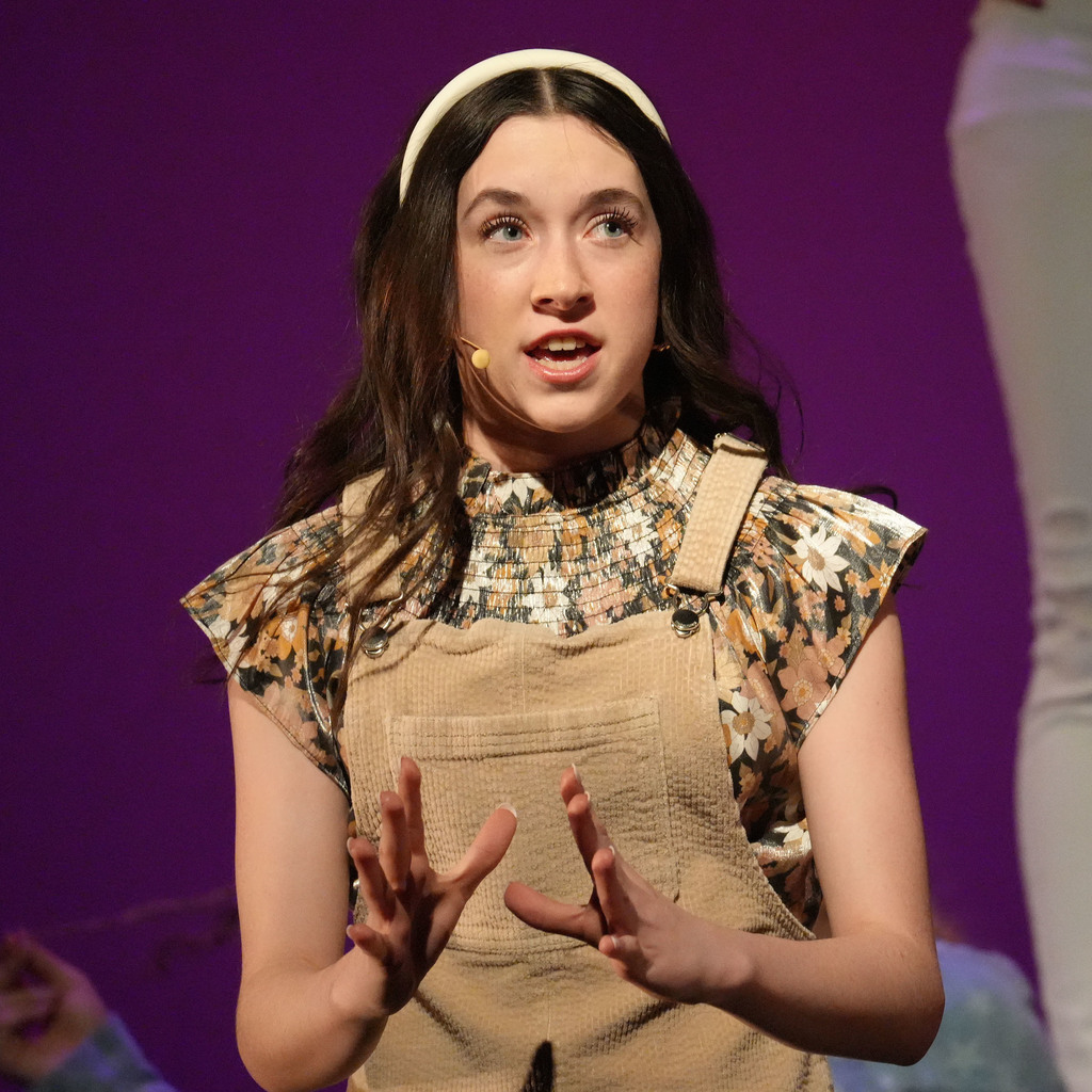 Mean Girls the Musical