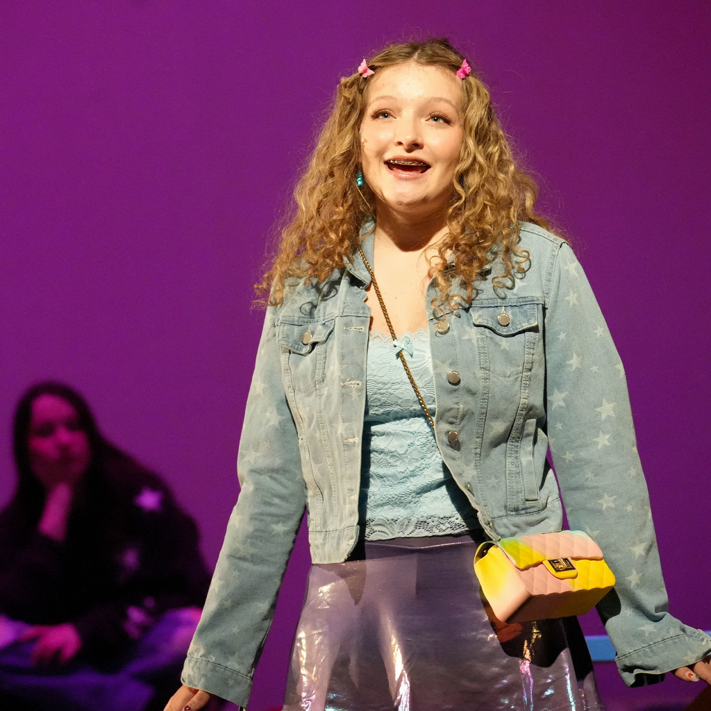 Mean Girls the Musical