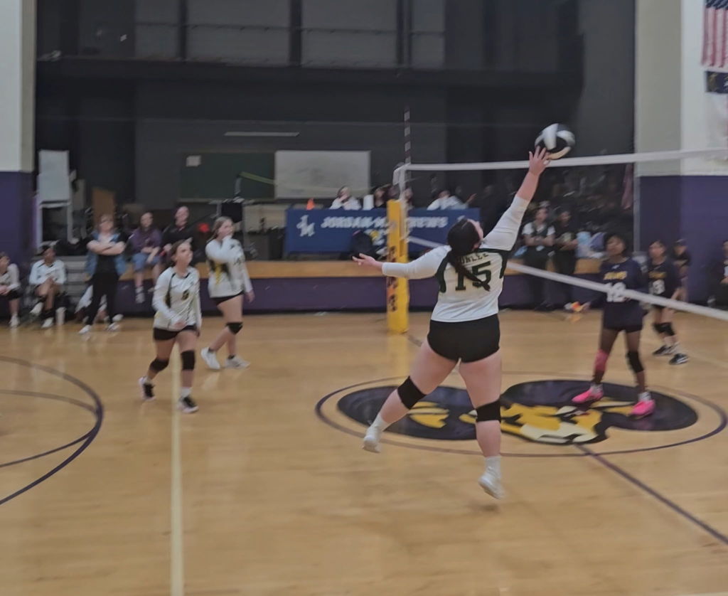 Spring Sports