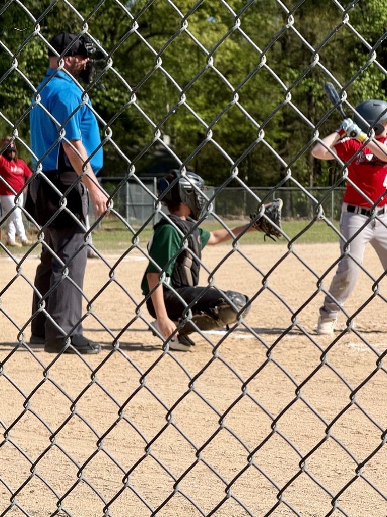 Spring Sports