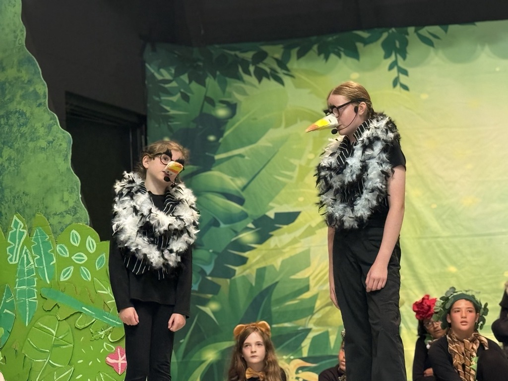 Jungle Book NCE
