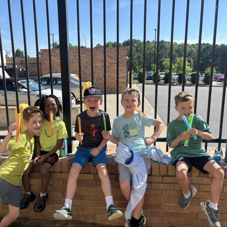 Field Day