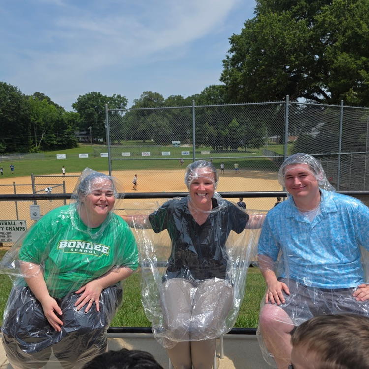 pie in the face 