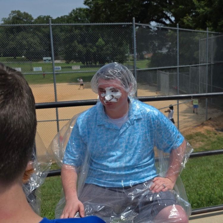 pie in the face 