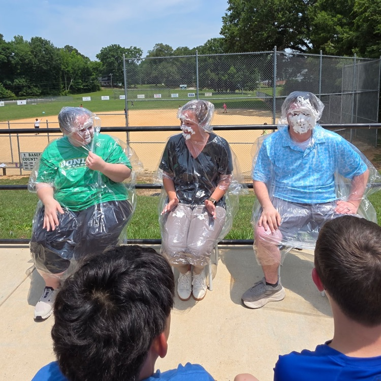 pie in the face 