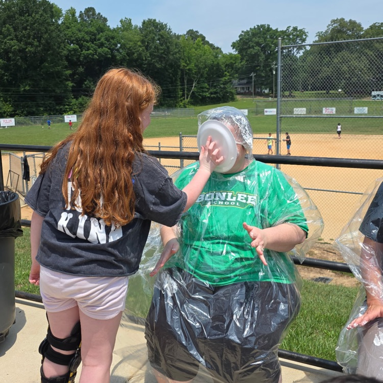 pie in the face 