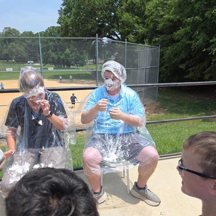 pie in the face 