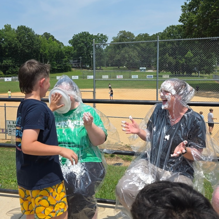 pie in the face 