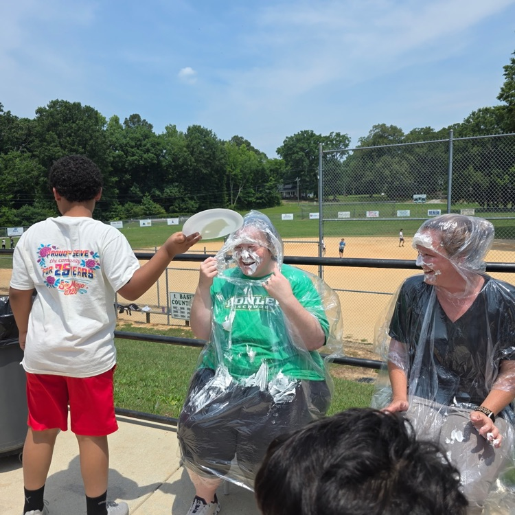 pie in the face 