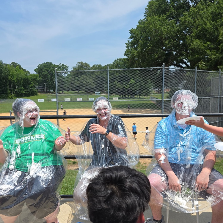 pie in the face 