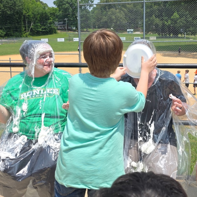 pie in the face 