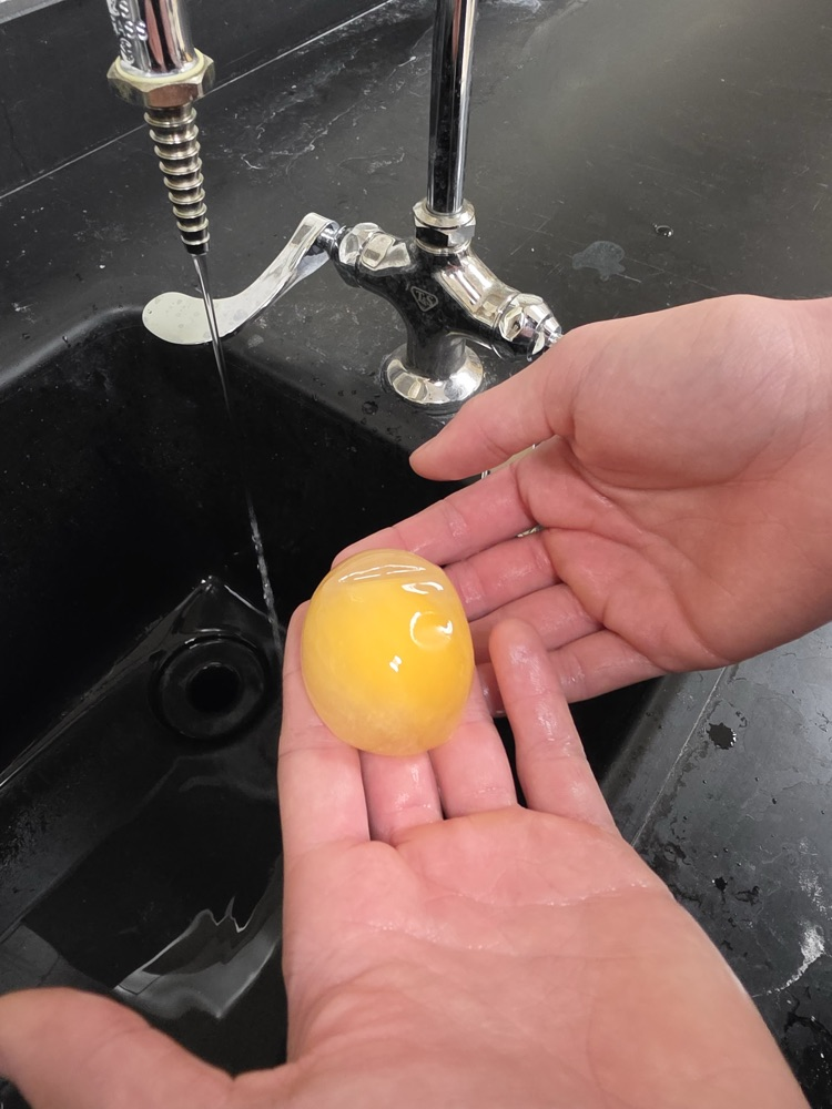 Biology Osmosis 