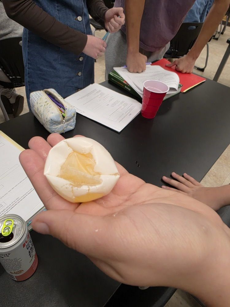 Biology Osmosis 