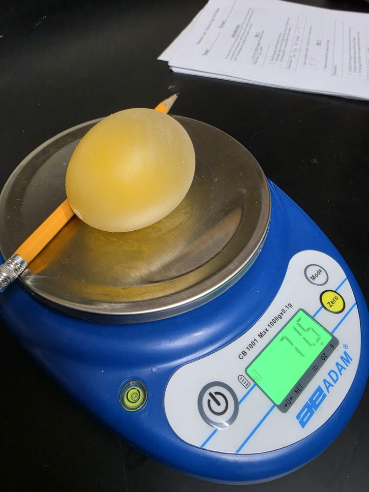 Biology Osmosis 