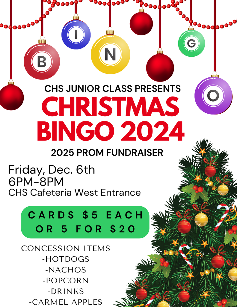 Junior Class Bingo