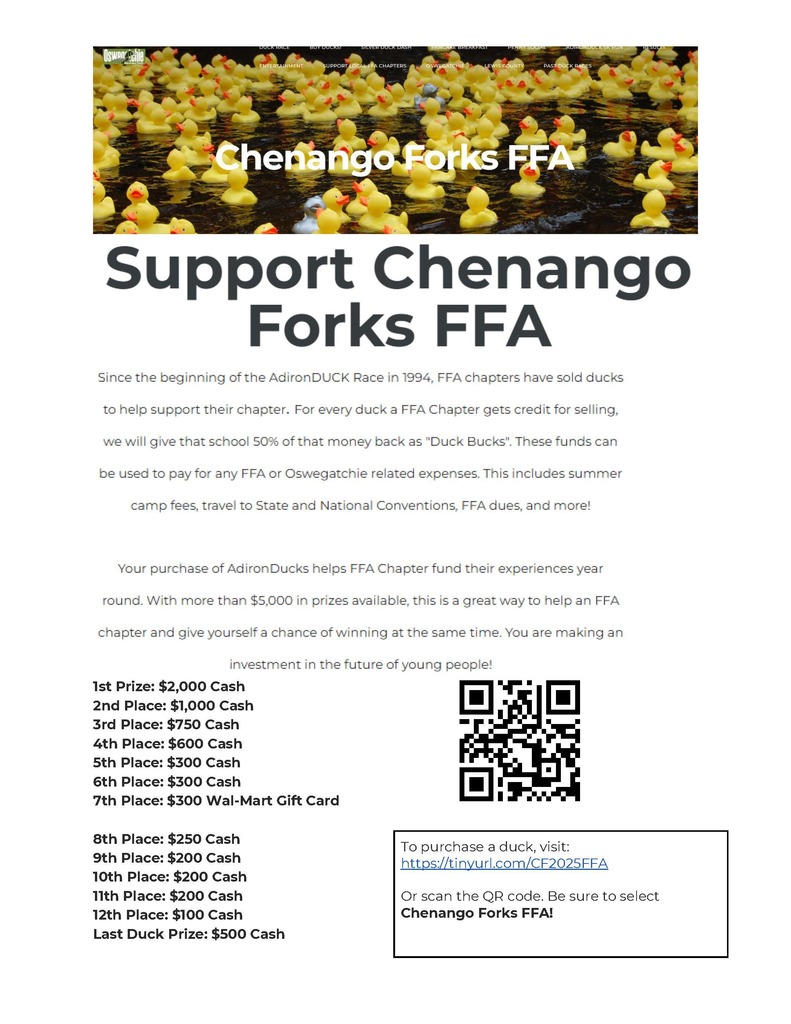 Duck Race Flyer with prize amounts