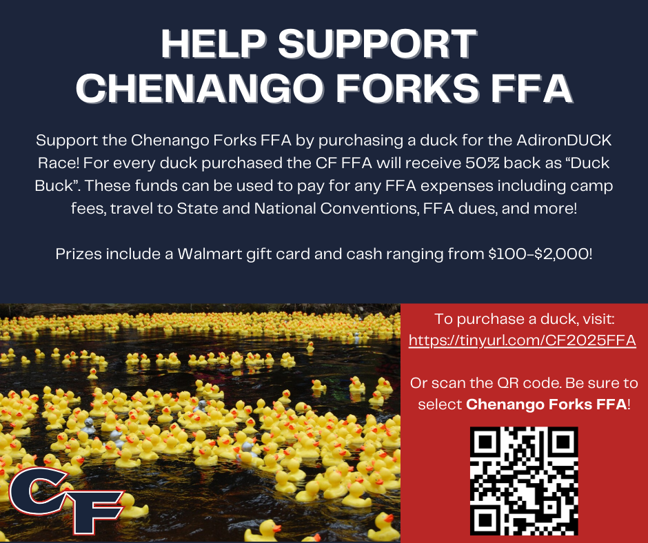 Duck Race Graphic
