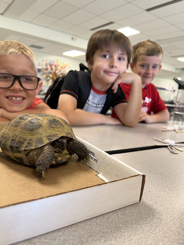 students with turtle