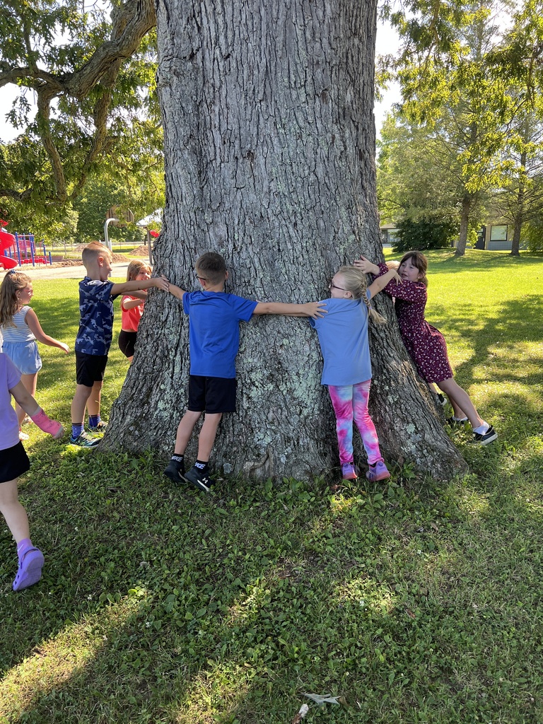 students hugging tree