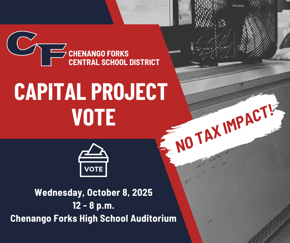 vote graphic