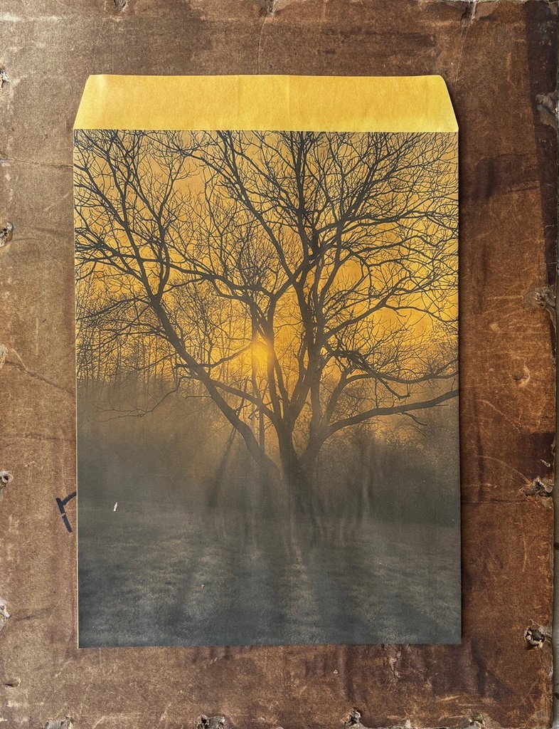 student artwork of trees