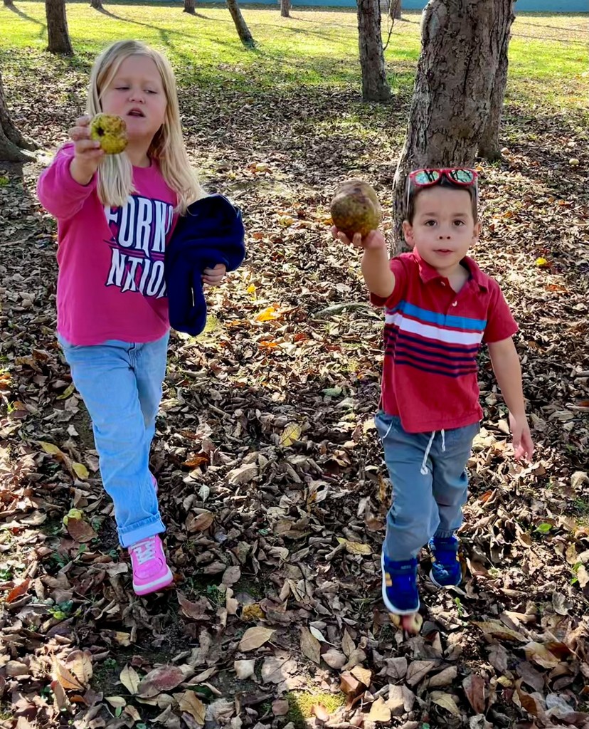 student apple picking