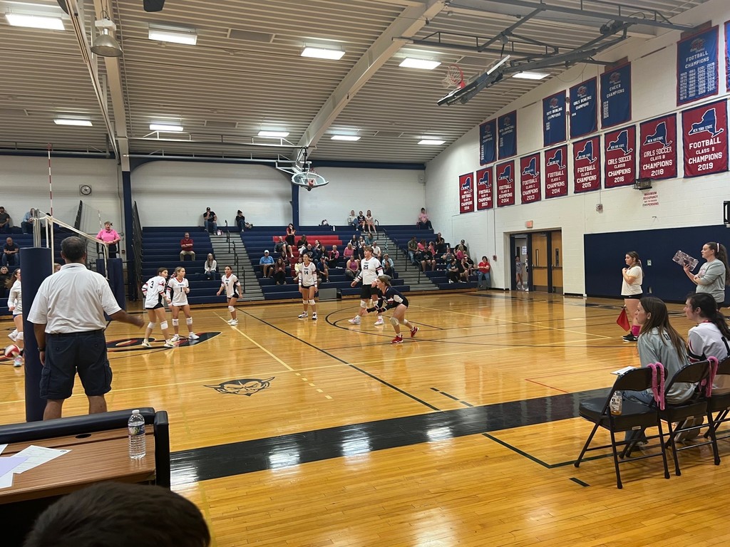 Volleyball
