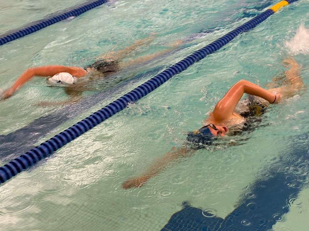 Swim