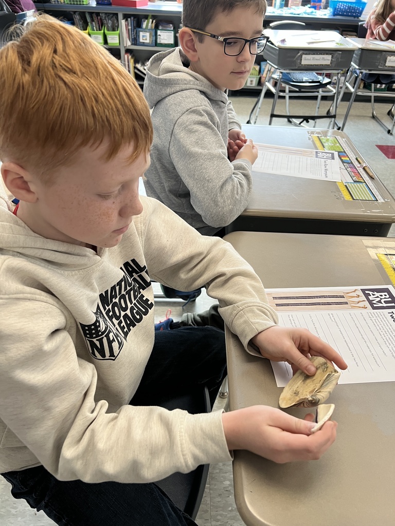students examining shells