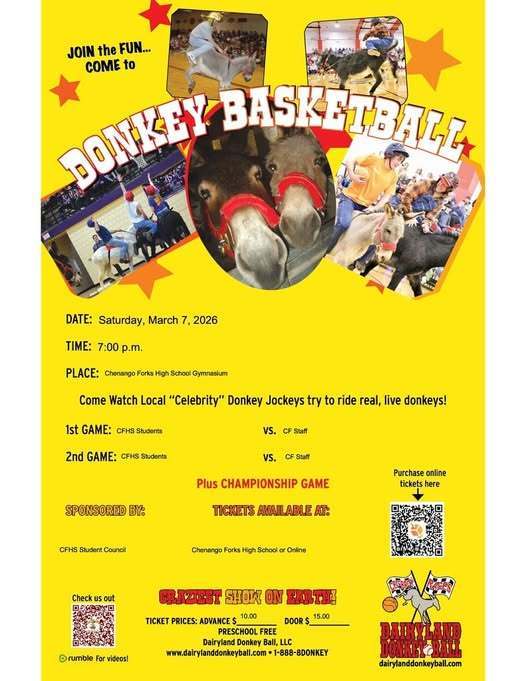 donkey basketball flyer