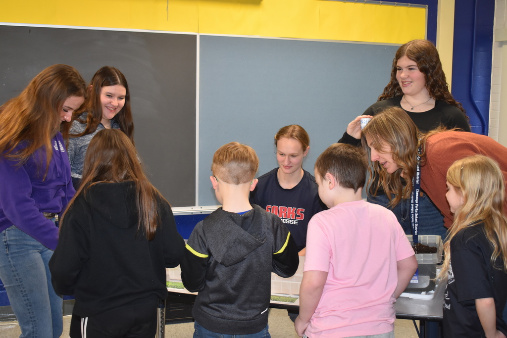 students planting seeds in cups
