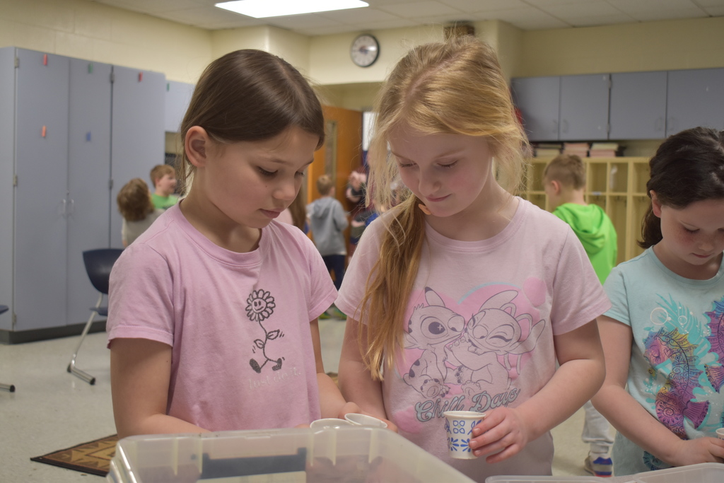 students planting seeds in cups