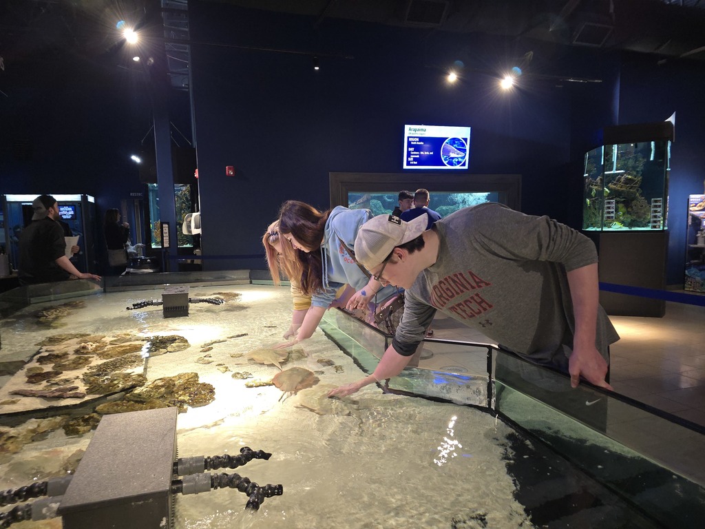 students at aquarium