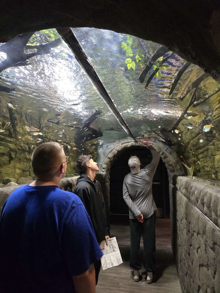 students at aquarium