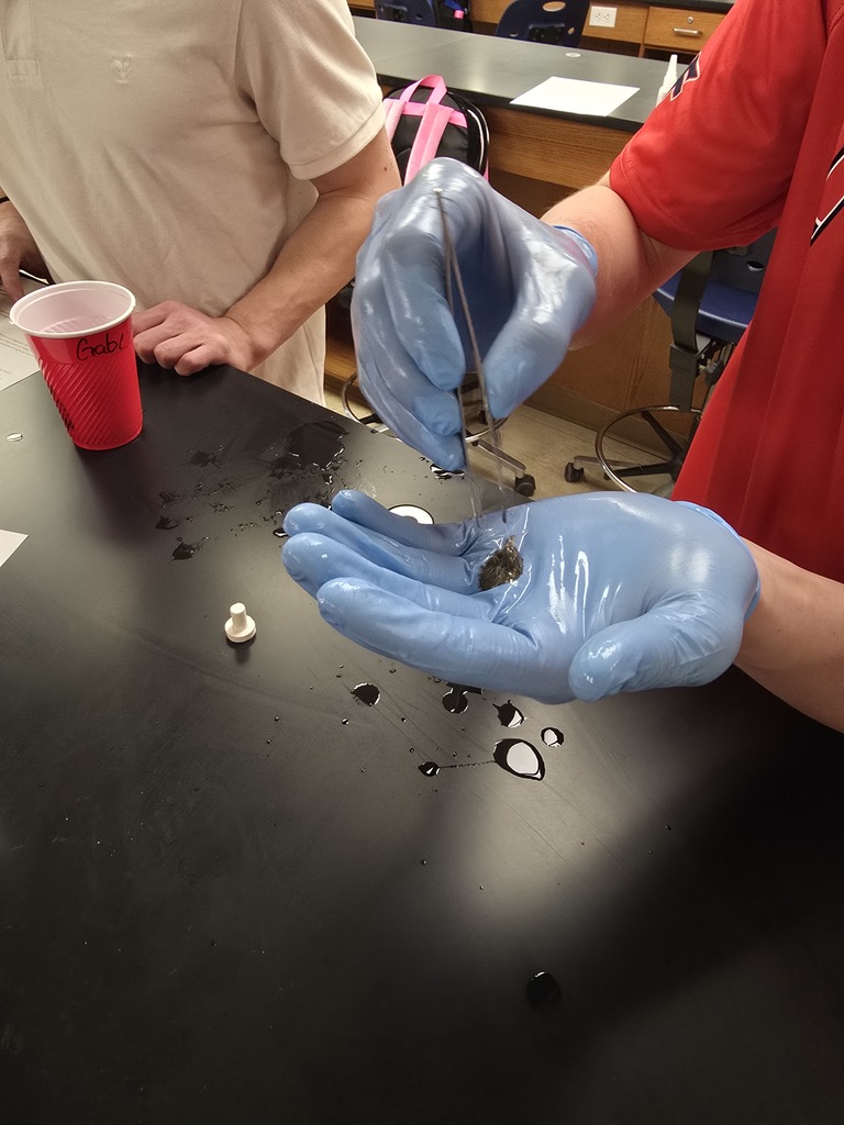 gloved hands holding coral fragments 