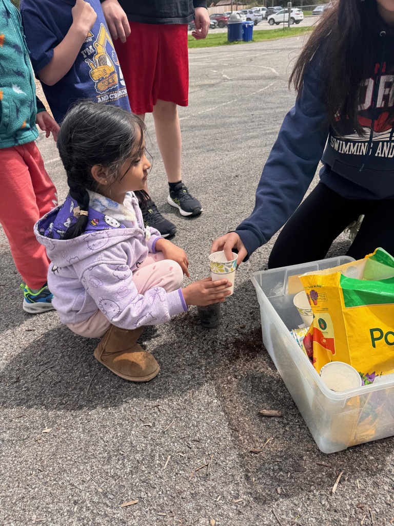 middle school and pre-K students planting in cups