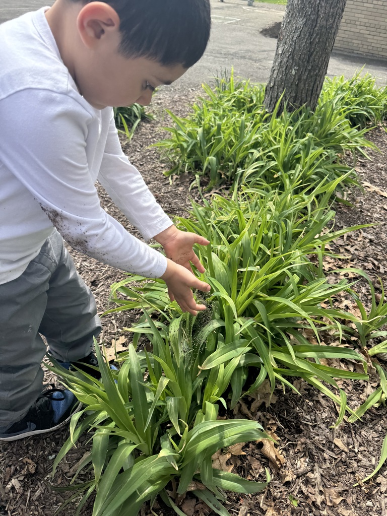 student planting flower seeds