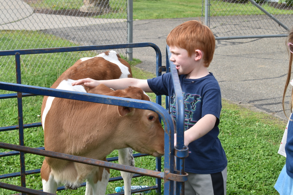 student petting calf