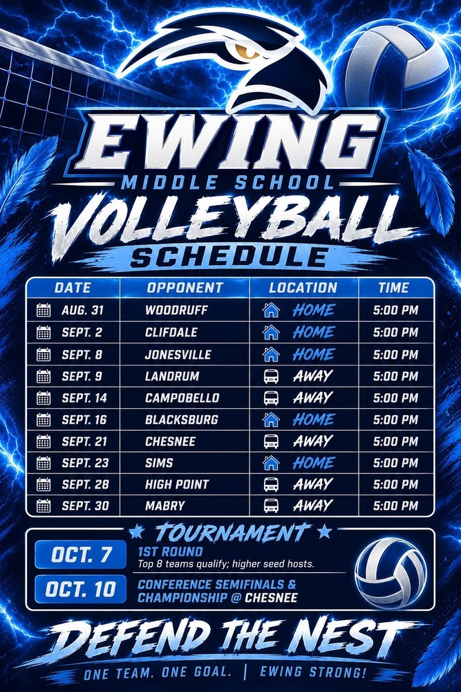 Volleyball Games