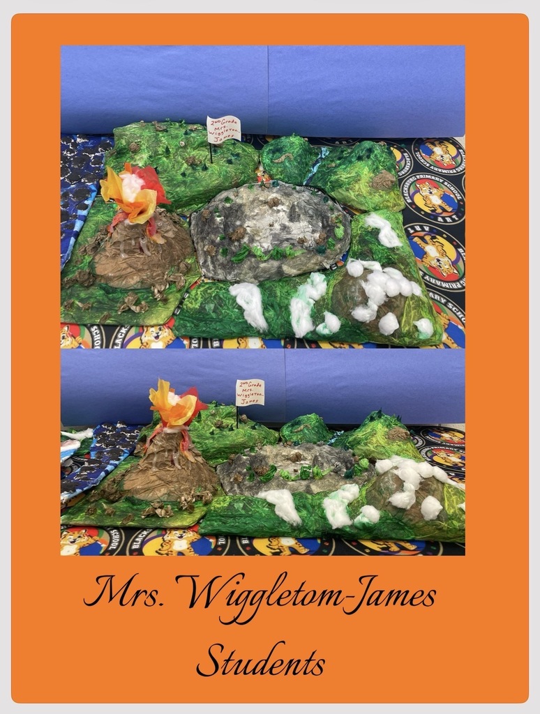 Mrs. Wiggleton-James' Students