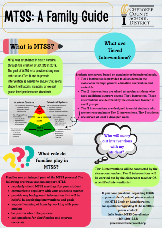 mtss flyer